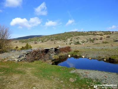 Hayedo Tejera Negra; viajes doñana excursiones de un dia cañada real segoviana macizo galaico leon